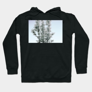 Simple Tree Against Sky Hoodie